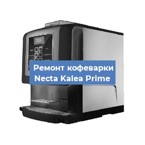 Декальцинация   кофемашины Necta Kalea Prime в Москве